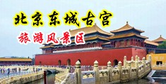 黑丝福利网中国北京-东城古宫旅游风景区